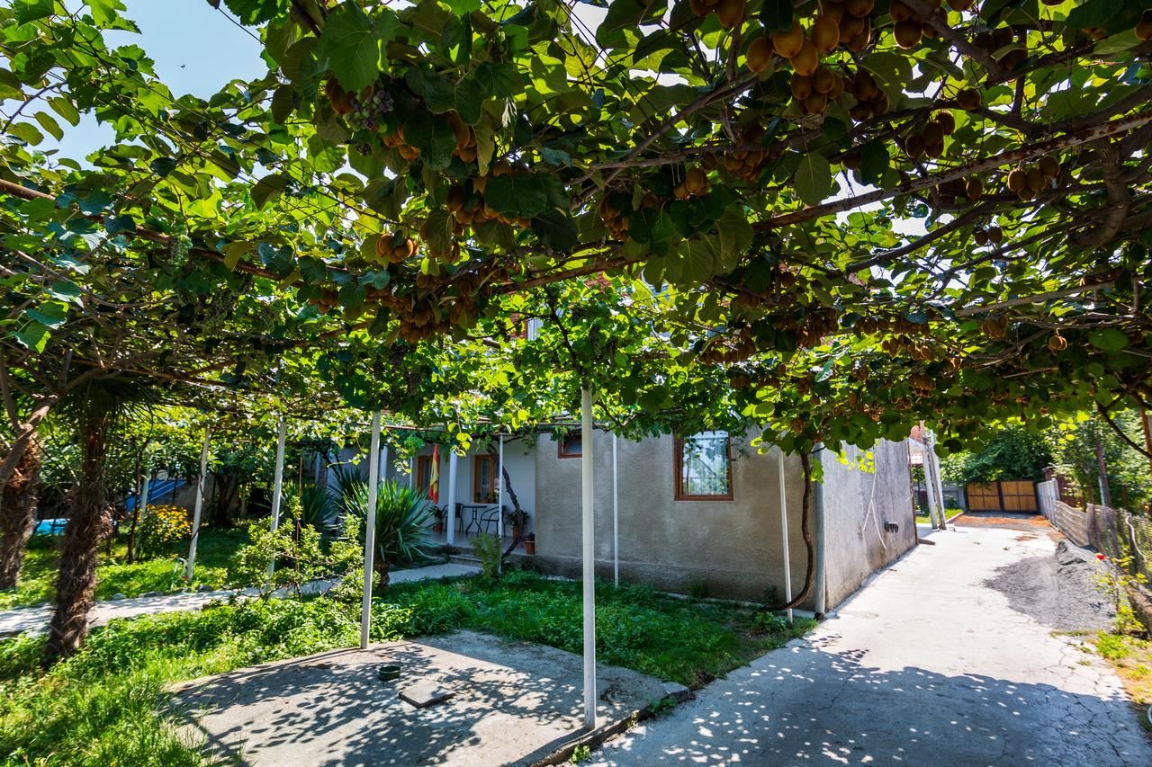 Гостевой дом Guesthouse Vashlovani Лагодехи-8