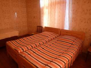 Гостевой дом Guesthouse Vashlovani Лагодехи Бюджетный двухместный номер с 2 отдельными кроватями-30